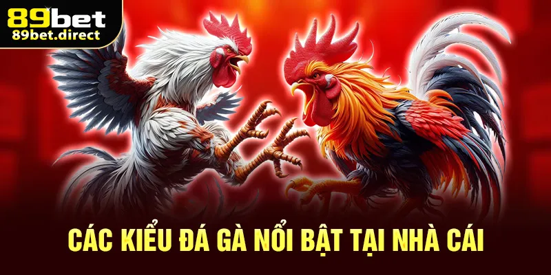 Các kiểu đá gà nổi bật tại nhà cái