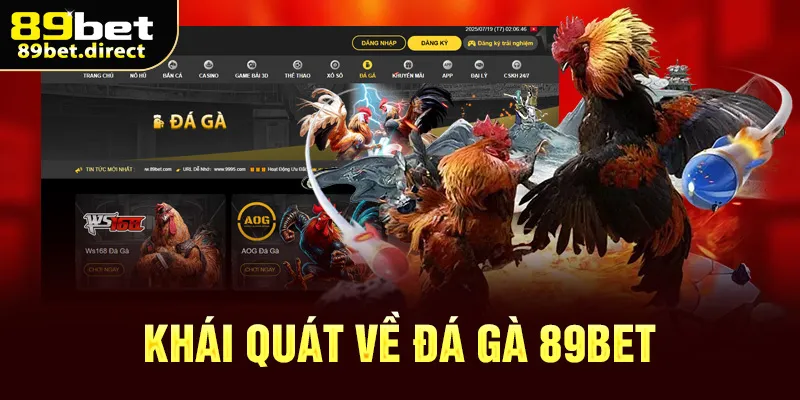Khái quát về đá gà