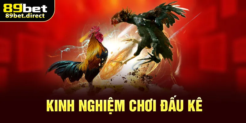 Kinh nghiệm chơi đấu kê