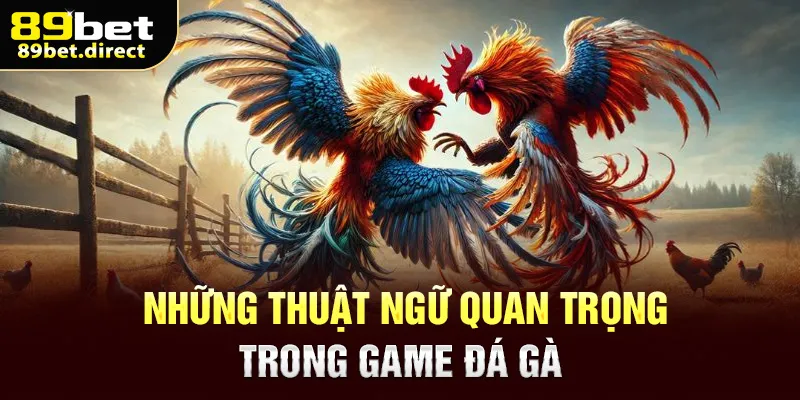 Những thuật ngữ quan trọng trong game đá gà