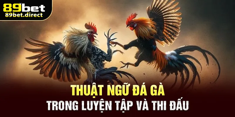 Thuật ngữ đá gà trong luyện tập và thi đấu