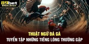 thuật ngữ đá gà
