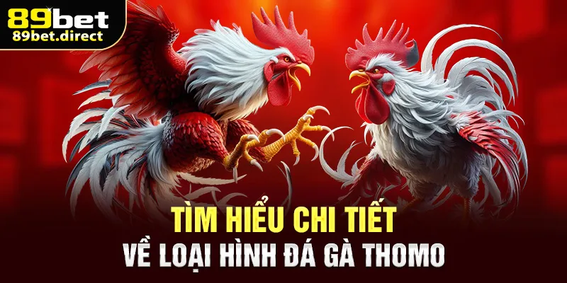 Tìm hiểu chi tiết về loại hình đá gà Thomo